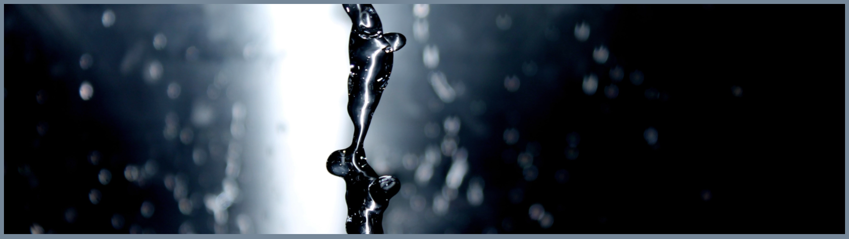 This is the website header.