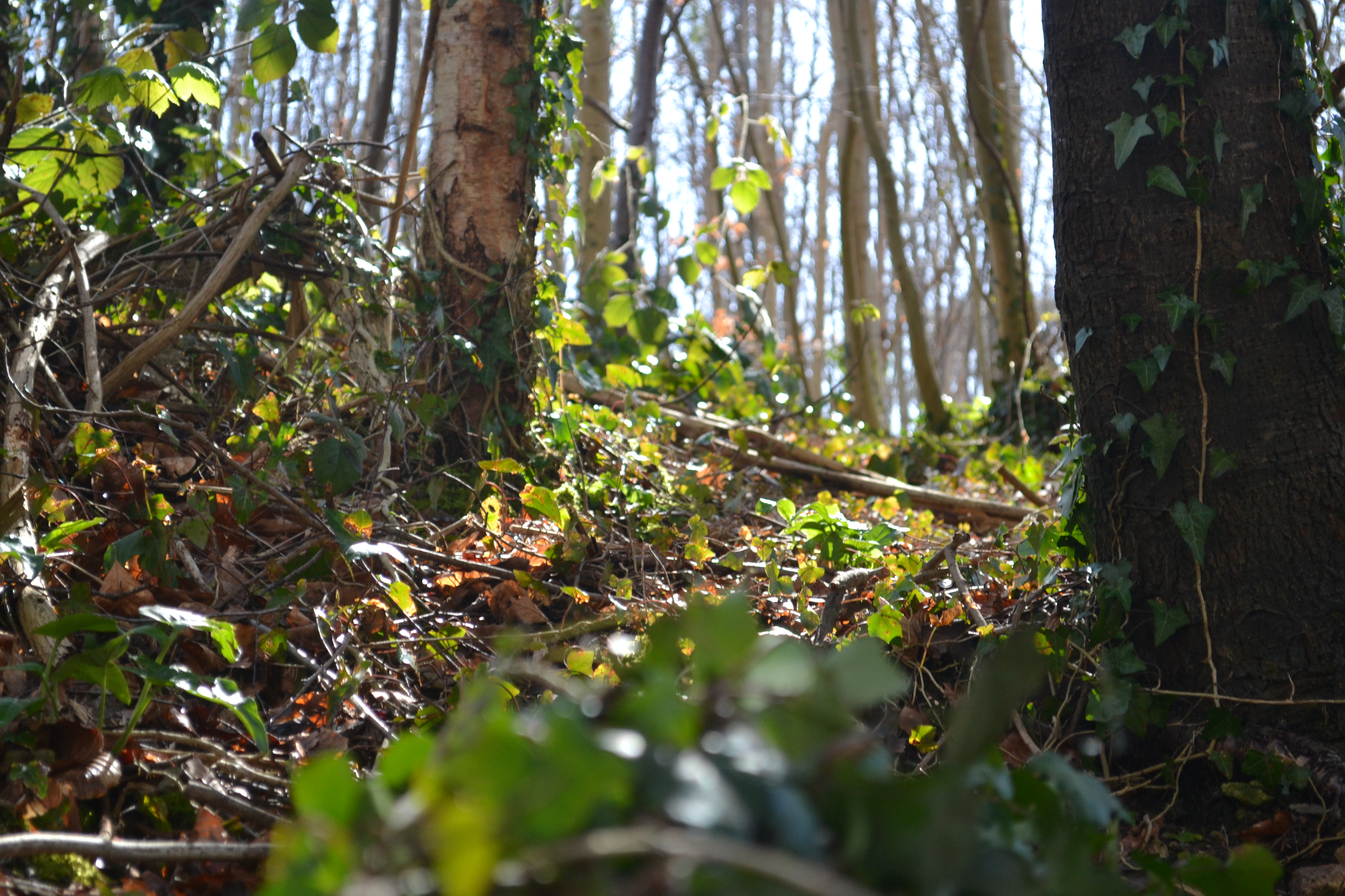 GCSE Photography 2016-2018